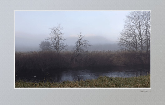 Misty morning at Circle Creek